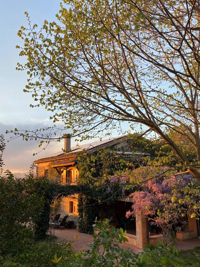 Agriturismo Solidor Pitigliano Exterior foto